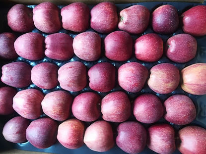 Afbeeldingen van Apples