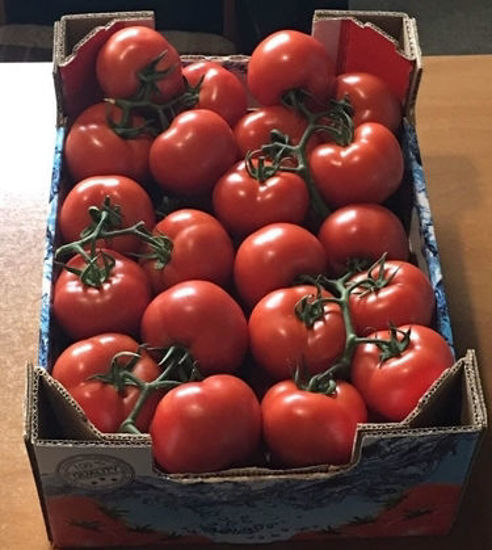 Picture of Tomatoes