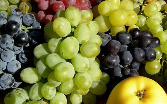 Picture of Grapes