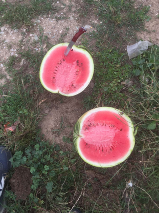 Снимка на Watermelon