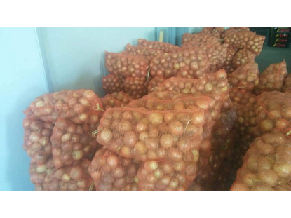 Изображение Onion