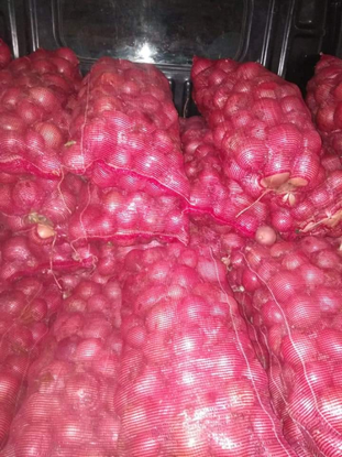 Изображение Onion