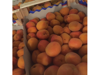 Picture of Apricots