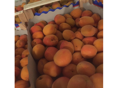 Слика на Apricots
