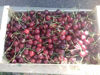 Picture of Cherries