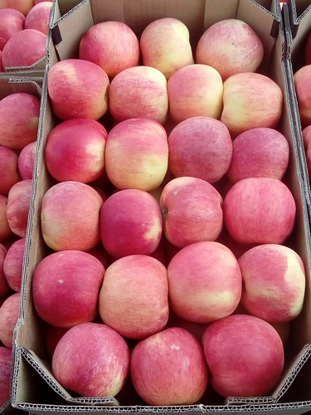 Снимка на Idared