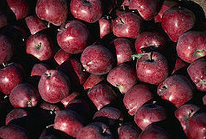 Afbeeldingen van Red Delicious