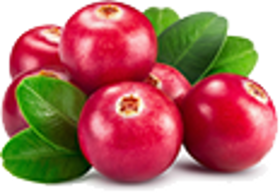 Picture of Organic Redberry