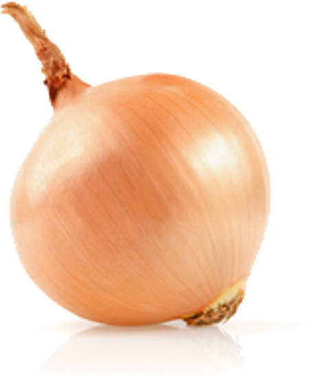 Picture of Organic Onion